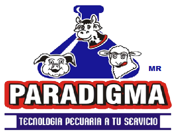 Paradigma